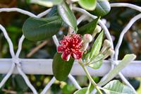 Neuseeland Impressionen