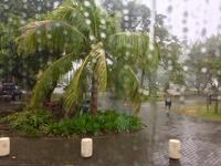 Tahiti Tropenregen