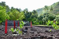 Tahiti - Kultstätte