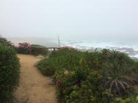Chile - Isla Negra 