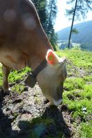 Südtirol - Ultner Höfeweg