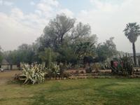 Strausenfarm