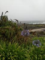 Tsitsikamma-Nationalpark