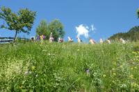 Südtirol - Aufstieg nach Hochmut