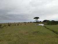 Kariega Nationalpark