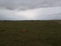 Kariega Nationalpark