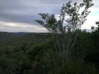 Kariega Nationalpark