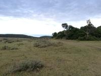 Kariega Nationalpark