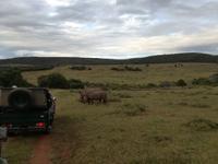 Kariega Nationalpark