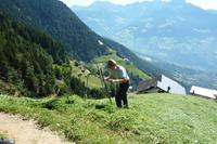 Bauer mit Sichel am Talbauer