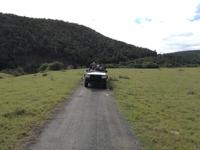 Kariega Nationalpark