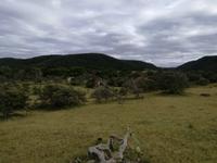 Kariega Nationalpark