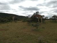 Kariega Nationalpark