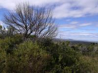 Kariega Nationalpark