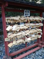 Japan Nikko-Nationalpark