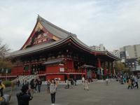 Japan Meiji- Schrein