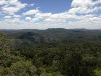 Australien Kuranda