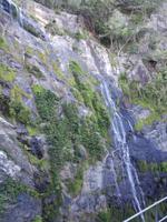 Australien Kuranda