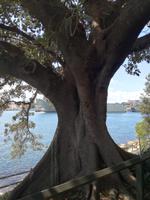 Australien Sydney