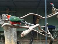 Australien Featherdale Wildlife Park
