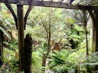 Auckland