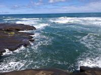 Neuseeland -Matakana