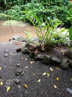 Tahiti Inselrundfahrt