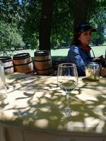 Weingut Concha y Toro