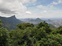 Rio de Janeiro Tijuca-Wald