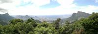 Rio de Janeiro Tijuca-Wald