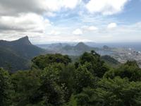 Rio de Janeiro Tijuca-Wald