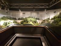 Dampflokomotiv-Museum Neuenmarkt