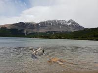Wanderung zum Laguna de los Tres mit Fitz Roy in El Chalten - Patagonien (20)
