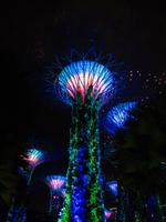 Gardens by the Bay, Singapur