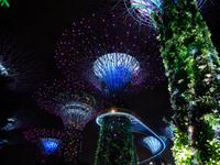 Gardens by the Bay, Singapur