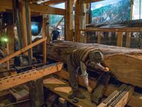 Kauri Museum
