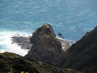 Cape Reinga