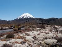 Wanderung im Tongariro-Nationalpark