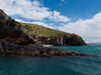 Taiaroa Head, Otago Halbinsel