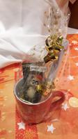 Eberhardt-Weihnachtstasse