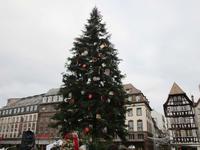 Der Straßburger Weihnachtsbaum