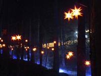 Beim Triberger Weihnachtszauber