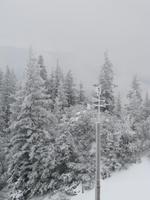 Viel Schnee
