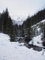 Seewigtal