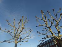 Sonderburg Dänemark 