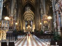 Wien - Stadtbesichtigung - Stephansdom