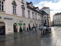 Wien - Stadtbesichtigung - Fiaker