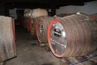 Blandy's Wine Lodge (3)