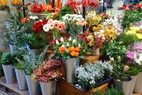 Blumen in der Markthalle