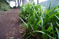 Levadawanderung nach Balcoes (3)